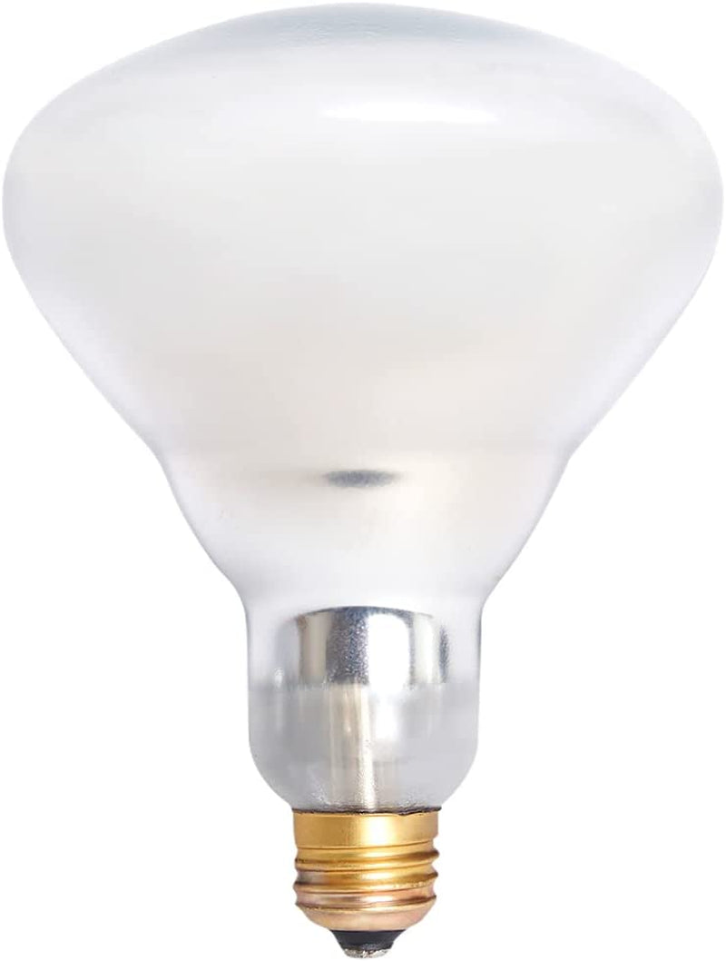 DL2112 Commercial Grade Food Heat Lamp Portable Electric Food Warmer 2-Bulb with Free-Standing, 500W, Silver (Silver)